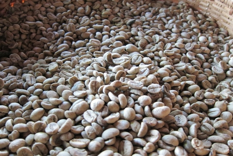 Coffee Beans