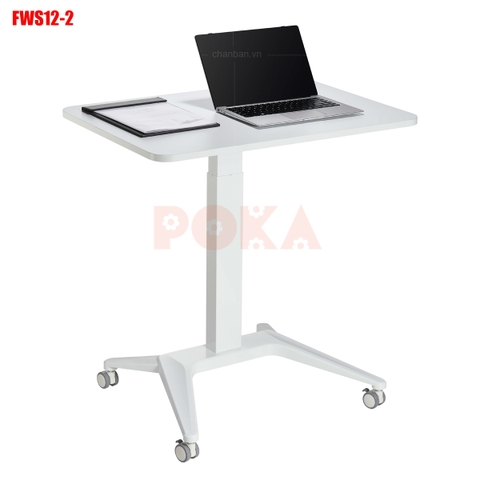 Bàn nâng hạ bằng tay Ergonomic FWS12-2