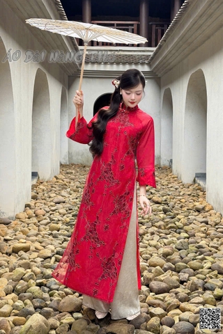 Áo Dài Cách Tân Họa Tiết Thêu Nền Đỏ Đáng Yêu