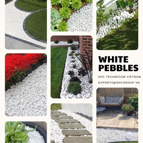 Use White Pebbles for Garden - 10 Innovative Ways !