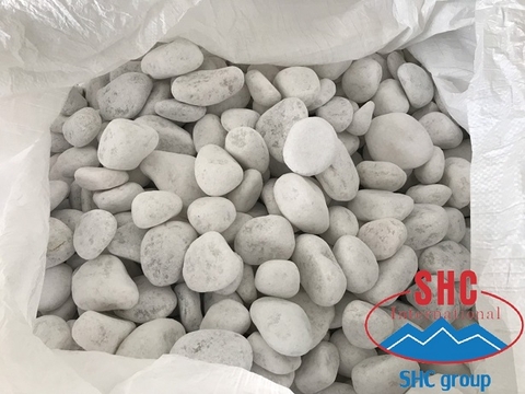 Weekly Shipment Of Big Size Snow White Pebble To Traditional Customer