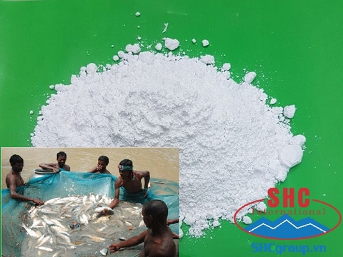 Calcium Carbonate Powder Used For Aquaculture Sector