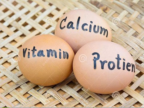 The Important Role Of Calcium Level In Limestone For The Second Cycle Of Egg Production(Part1)
