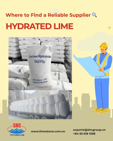 How to Import Hydrated Lime — And Where to Find a Reliable Supplier