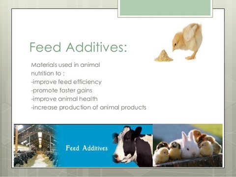 Feed Additives