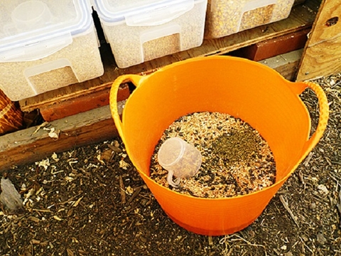 Mixing Feed For More Tailored Layer Rations