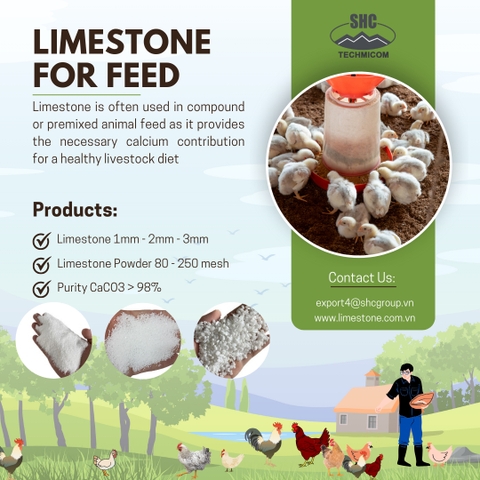 Limestone for Feed in Australia: A Vital Resource for Livestock Nutrition