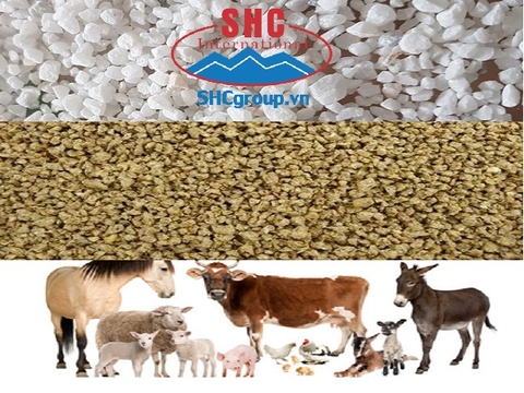 Limestone Reached HACCP Certificate & ISO 22000:2005 Using For Animal Feed