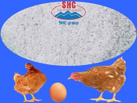 The Role Of Minerals And Vitamins For Growth In Poultry
