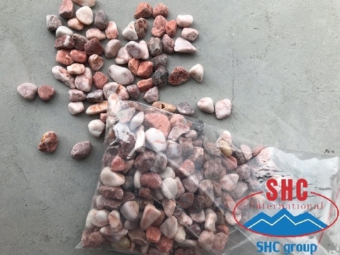 Shipment On Pink Pebble Exporting To EU Market