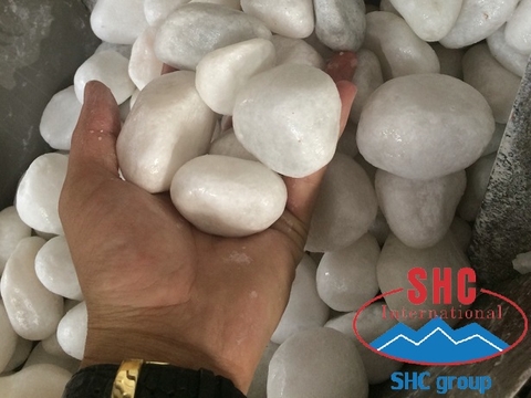 Huge Shipment White Pebble To Export South Korea
