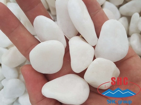 Best Supplier On Stocks The Largest Range Of Decorative Pebble And Gravel In Vietnam