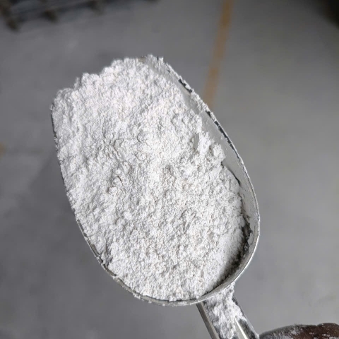 July 2025 - hydrated lime exporting from SHC Vietnam