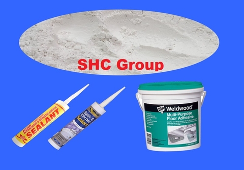 Calcium Carbonate Powder For Adhesives And Sealants