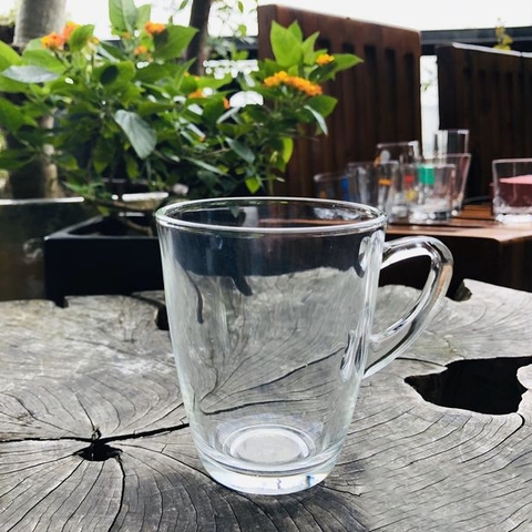 Cốc thủy tinh quán cafe có quai
