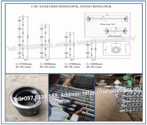 Bản vẽ tổng hợp giáo Ringlock