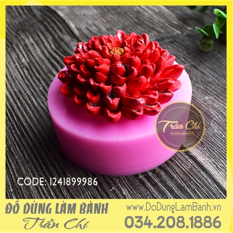 SF8639 - Khuôn silicone hoa CÚC ĐẠI ĐÓA (20/11)