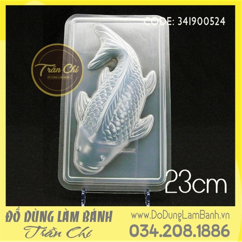 KN0127 - Khuôn nhựa trắng Cá Chép - Size TRUNG - 23cm (28/12)
