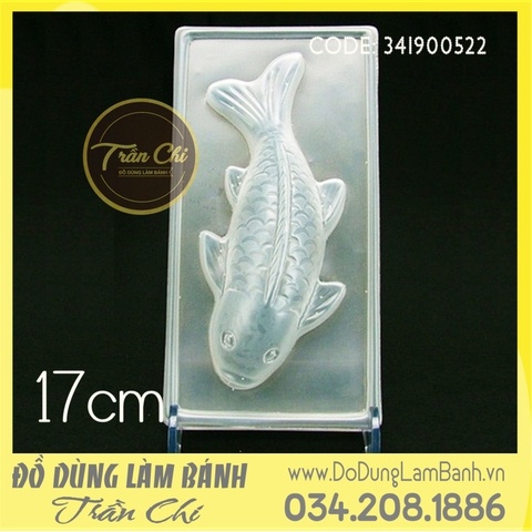 Khuôn nhựa Cá chép - Size nhỏ 17cm