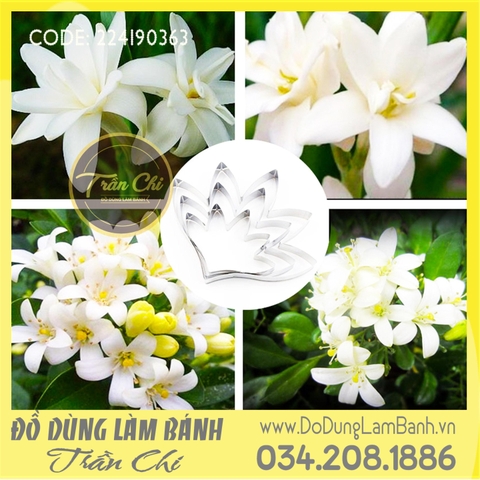 Bộ cắt hoa Huệ Tây/ hoa Thược Dược 3c (A363)