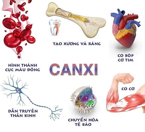 Nhu Cầu Canxi Của Trẻ Em: Tầm Quan Trọng và Cách Bổ Sung Hiệu Quả