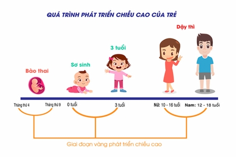 Các Thời Kỳ Phát Triển Của Trẻ