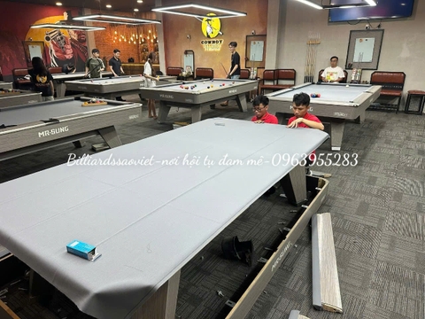 Thay Nỉ Bi A Giá Rẻ – Chất Lượng Chuẩn Giải Đấu Tại Sao Việt