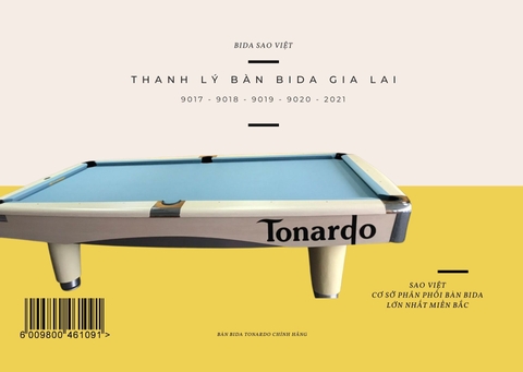 Thiết kế bàn bida phăng Gia Lai uy tín - Lắp đặt trọn gói, giá rẻ