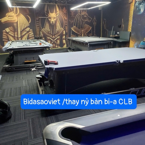 Dịch Vụ Thay Nỉ Bi A Giá Rẻ – Thợ Giỏi, Làm Nhanh, Giá Cực Tốt