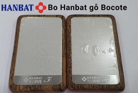 Bo đầu cơ Hanbat gỗ Bocote