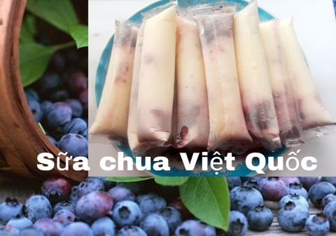 SỮA CHUA NHÂN MỨT KIWI-DÂU-VIỆT QUẤT- TRÂN CHÂU