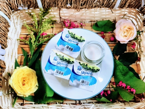 SỮA CHUA HŨ VỊ TRUYỀN THỐNG