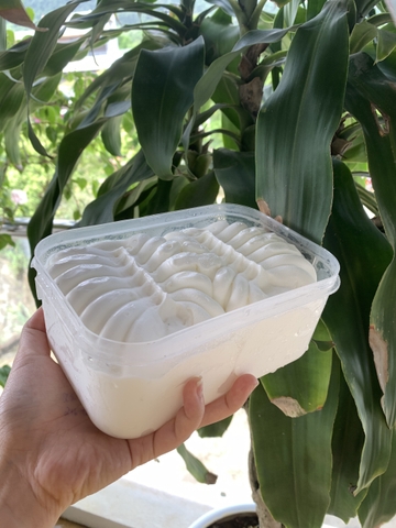 KEM KÝ HỘP VỊ KHOAI MÔN - T1