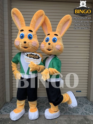 Mascot Con Thỏ 08