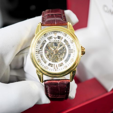 Đồng Hồ đeo tay nam FNGRENN D55 Máy Cơ