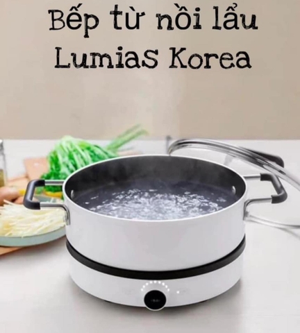 Set bếp từ đơn + nồi lẩu Lumias Korea (gồm 1 bếp+1 nồi) Made in Korea