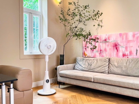 QUẠT CÂY PHUN SƯƠNG TẠO ẨM CAO CẤP DE MULLER