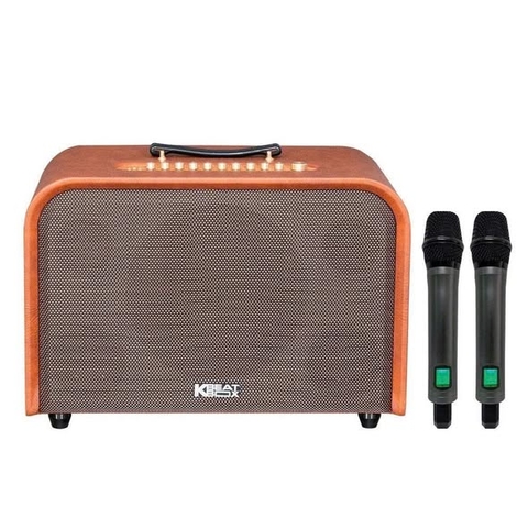 BỘ LOA KÈM 2 MiC ACNOS HARMONY