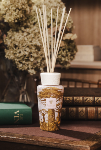 Khuếch tán hương Sacred Trees Touba 500ml Baobab Collection