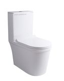 NÊN CHỌN TOILET 1 KHỐI HAY 2 KHỐI?