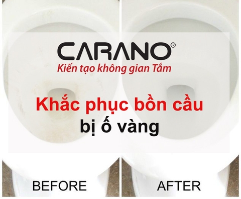 CARANO hướng dẫn cách khắc phục bồn cầu bị ố vàng