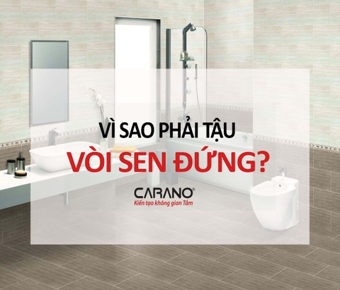 Vì sao phải tậu vòi sen đứng?