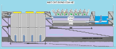 Xử lý nước thải chi phí thấp tại chỗ bằng công nghệ Dewats với ứng dụng của bể tự hoại cải tiến kết hợp bãi lọc ngầm trồng cây