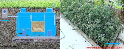 Bể tự hoại + Bãi lọc ngầm trồng cây, giải pháp xử lý nước thải tại chỗ thân thiện môi trường