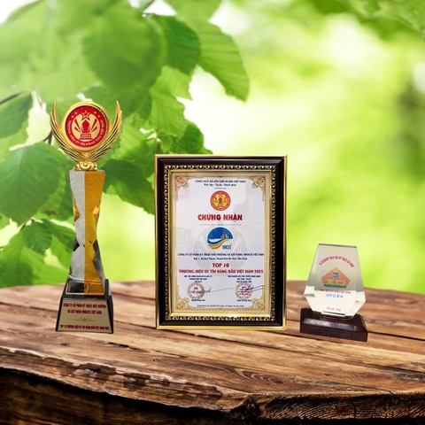 Báo chí nói về VINACEE Việt Nam và sản phẩm dịch vụ của VINACEE Việt Nam