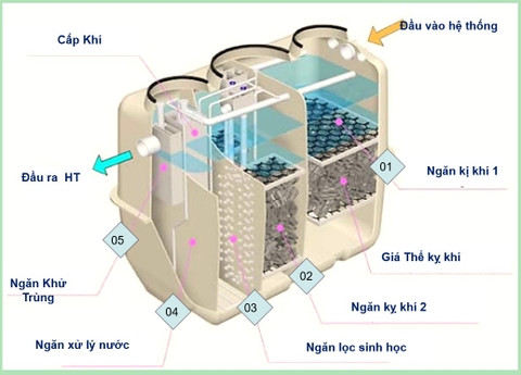 Ứng dụng hệ thống xử lý nước thải tại chỗ cho các Công trình thủy điện công suốt vừa và nhỏ