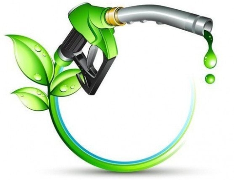 Xăng sinh học từ dầu ăn thừa tận dụng tại các nhà hàng ở UAE