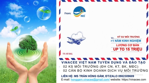 Thông báo tuyển dụng mới nhất VINACEE Việt Nam - Quý IV 2022