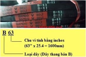 Thông số kỹ thuật, phân loại và cách chọn dây curoa