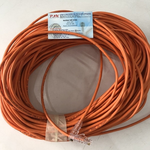 DÂY CÁP MẠNG CAT 5